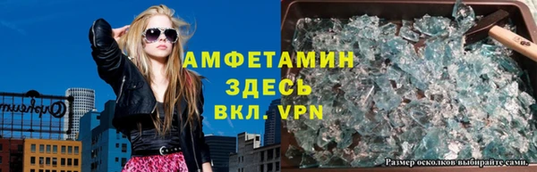 индика Вяземский