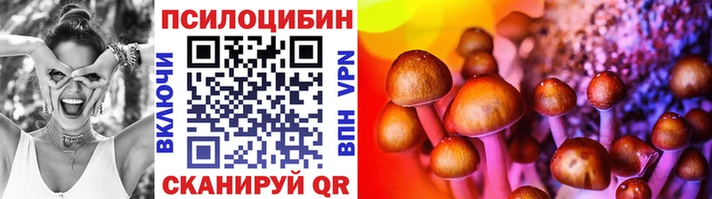 Галлюциногенные грибы Psilocybine cubensis  Новозыбков 