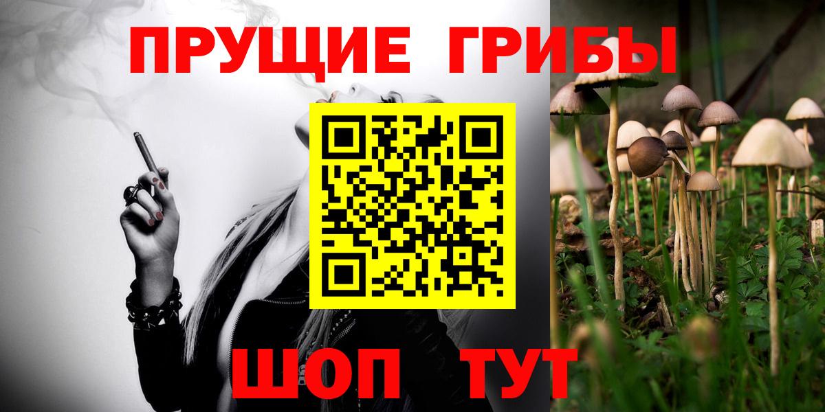 Новозыбков  Галлюциногенные грибы прущие грибы  Вход с VPN 