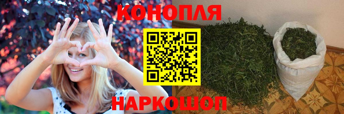 Новозыбков  Конопля MAZAR  Бошки марихуана тримм  МАРИХУАНА OG Kush  Канабис семена  Вход с VPN 
